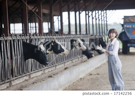 A woman working in a farm 17142256
