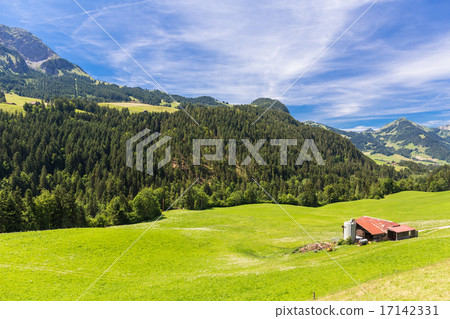 View on the Alps, Switzerland 17142331