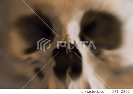fear and trembling - skull fear and trembling - skull 17142802
