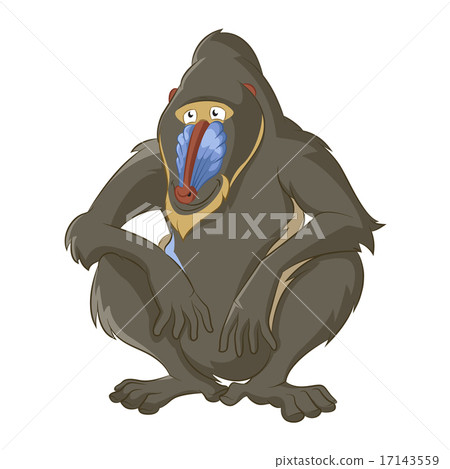 Baboon Baboon 17143559