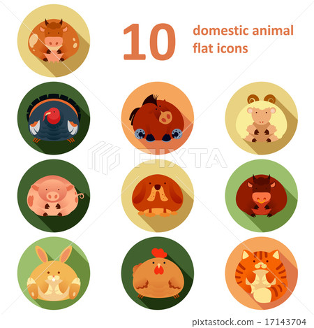 Flat icons with animals Flat icons with animals 17143704