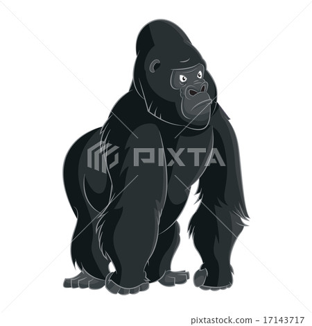 Gorilla 17143717