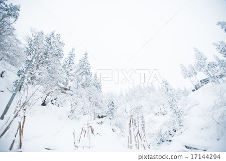 Snow mountain 17144294