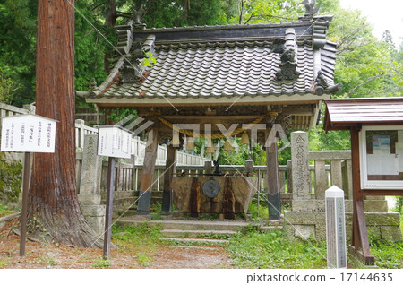 Shinshu Azumino Ariake-san Shrine Hydrangea Azumino City Designated Cultural Asset 17144635