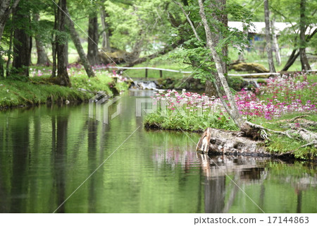 Climson of Senkekeihama 17144863