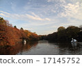 Inokashira Pond 17145752