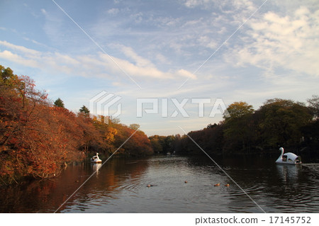 Inokashira Pond Inokashira Pond 17145752