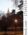 Autumn leaves 17145754