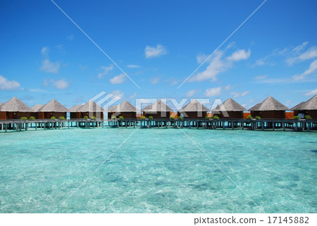 Maldives Maldives 17145882