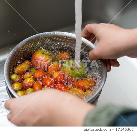 蔬菜修身 17146365