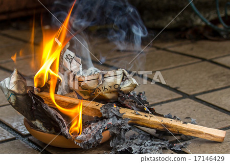 Firefly fire 17146429