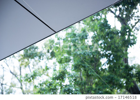 Eaves and green Eaves and green 17146518