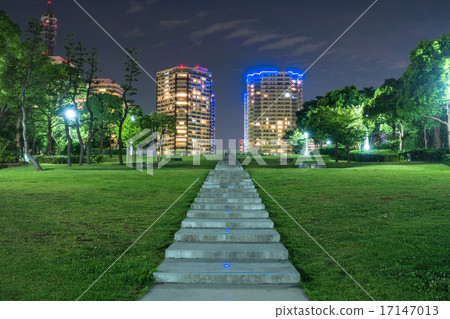 橫濱·塔大廈夜景 17147013