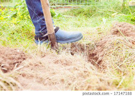 Closeup photo of man digging soil at garden Closeup photo of man digging soil at garden 17147188