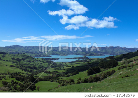 New Zealand Akaroa 17148579