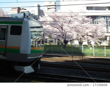 宇都宮線E233系列川口站 17148608