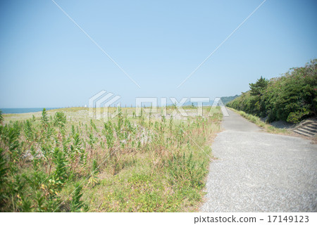 Beaches along the beach 17149123