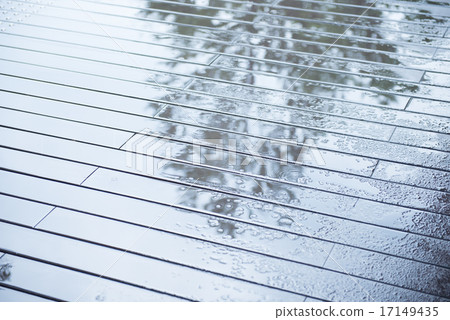 反射在濕甲板的樹 反射在濕甲板的樹 17149435