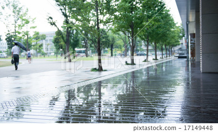 Tree reflecting on wet deck 17149448