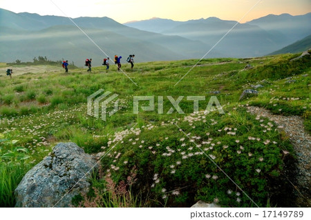 登山者在清晨去Tarohira 17149789