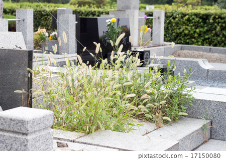 Weeded grave Weeded grave 17150080