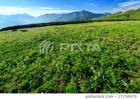 可以看到Hakusan Ichige社區和Kita-Alps和Kitanomata-dake的Kurobe Gorokadake地區 17150470