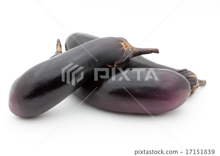 eggplant eggplant 17151839