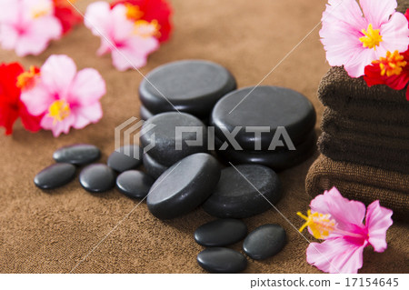 Beauty Beauty 17154645