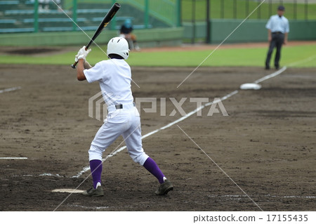 Baseball 17155435