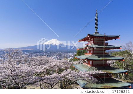 櫻花盛開的富士朝霞神社晴朗的藍天 17156251