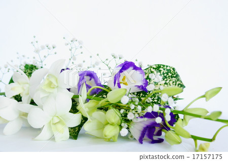 供應鮮花 17157175