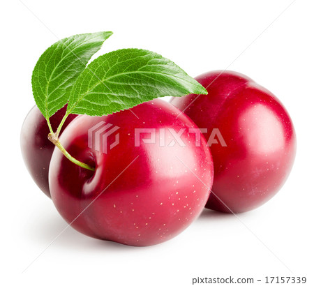 Three plums with leaf 17157339