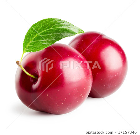 Two plums with leaf 17157340