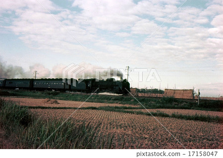 1955年，D51牽引旅客列車在Uminetsu線上從Sakamachi站出發 17158047