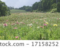 ONZU Yuri Park 17158252