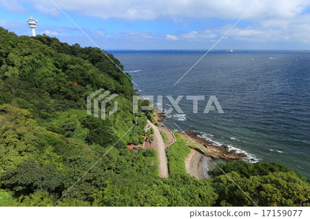 View from the Kannon Saaki lighthouse 17159077