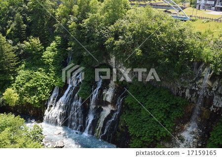 White mustache waterfall 17159165