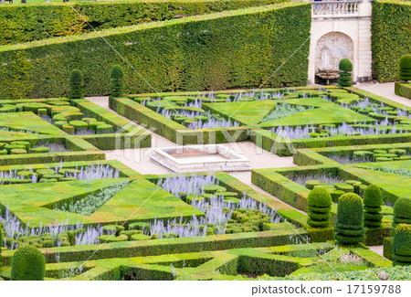 beautiful green boxwood garden pruned into shapes 17159788