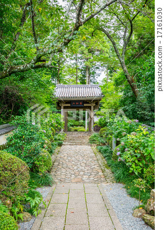 Ryu Temple (Ryotanji) Summer gate summer Shizuoka prefecture Hamamatsu city Ryu Temple (Ryotanji) Summer gate summer Shizuoka prefecture Hamamatsu city 17161030