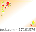 Maple background 17161576