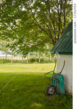 Wheelbarrow Wheelbarrow 17162454