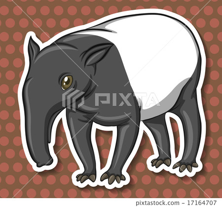 Anteater 17164707
