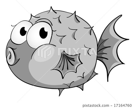 Puffer fish Puffer fish 17164760