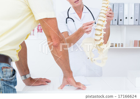 Doctor showing her patient a spine model 17166624