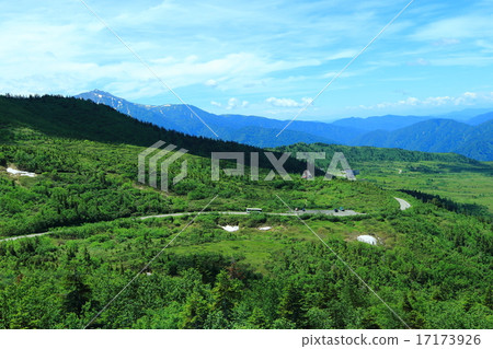 Maba-gabara Plateau of Tateyama 17173926