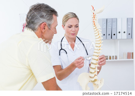 Doctor showing her patient a spine model Doctor showing her patient a spine model 17174514