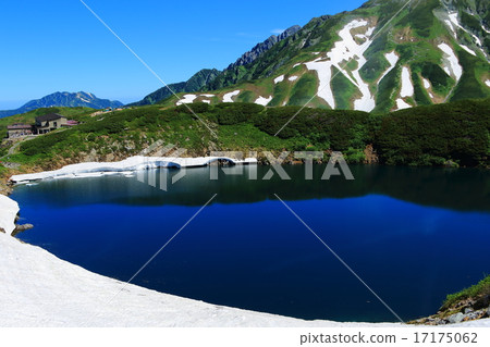 Only in the summer the pond 17175062