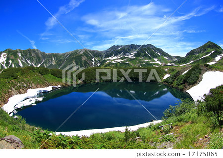 只有在夏天的池塘 17175065
