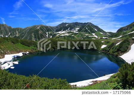 Only in the summer the pond 17175066