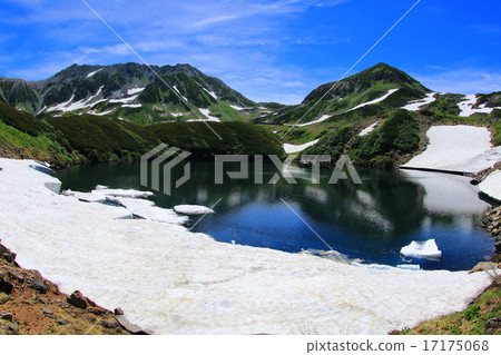 Only in the summer the pond 17175068